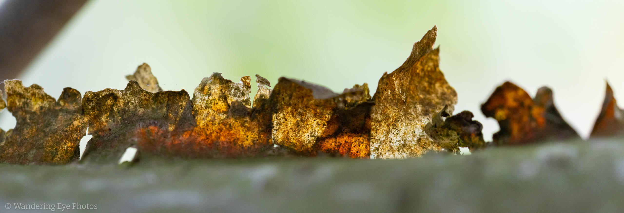 08.31 13.39.42   DSC02657